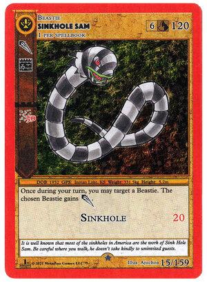 Sinkhole Sam 1st Edition