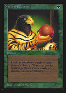 Natural Selection (CE) [Collectors’ Edition]