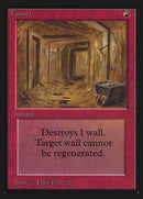 Tunnel (IE) [Intl. Collectors’ Edition]